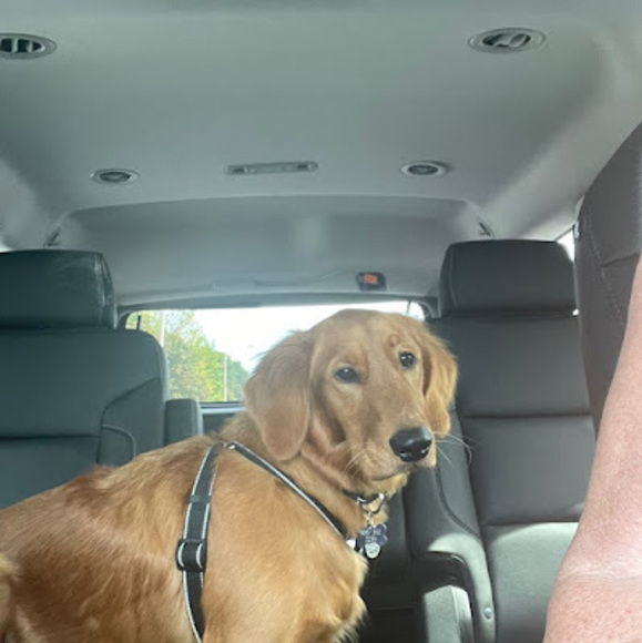 Meet your Posher, Eva - Picture 1 of 1